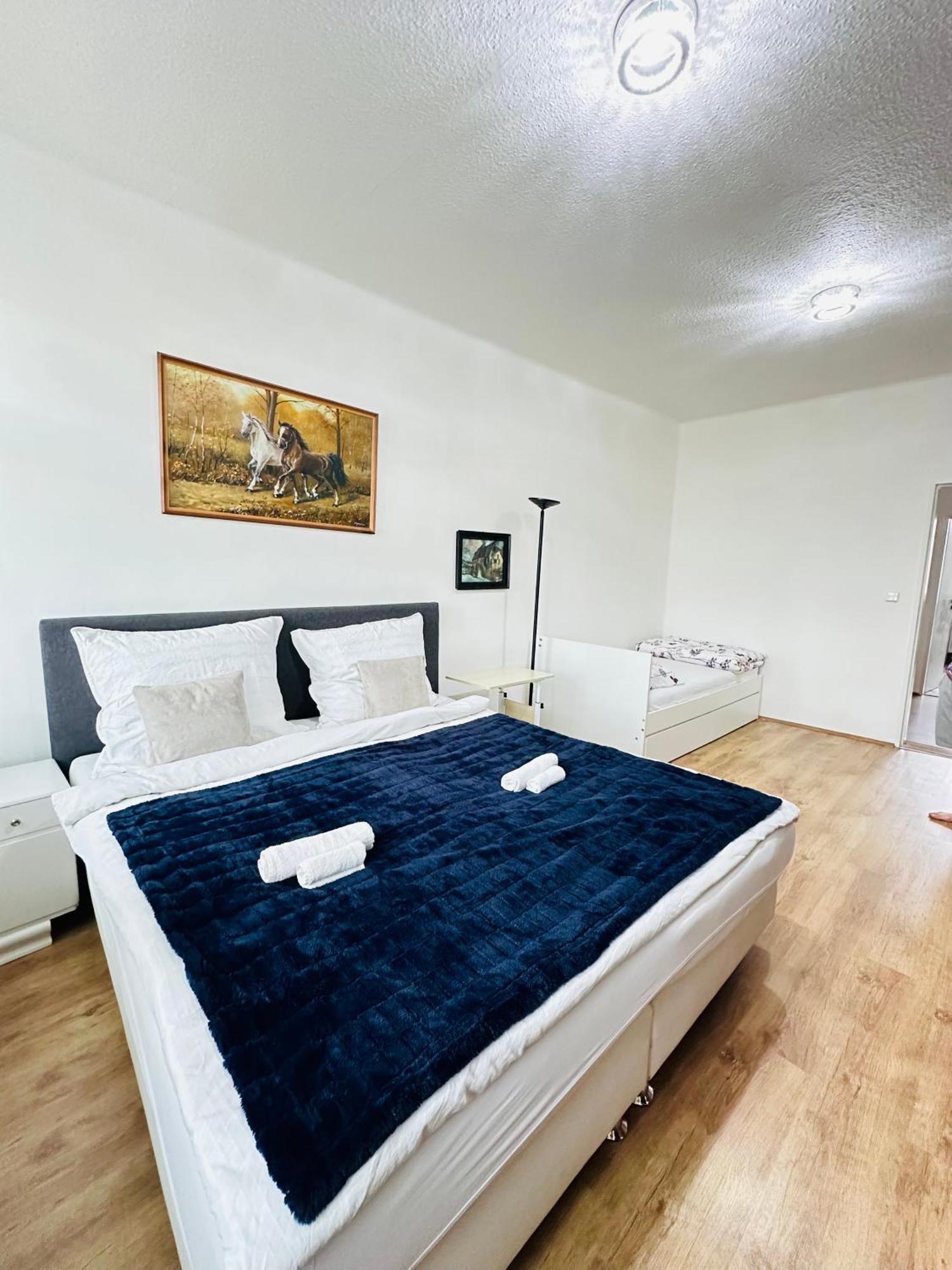 Kael Apartment Teplice Dış mekan fotoğraf
